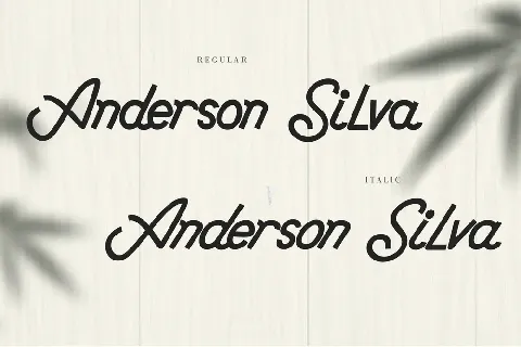 Anderson Silva font