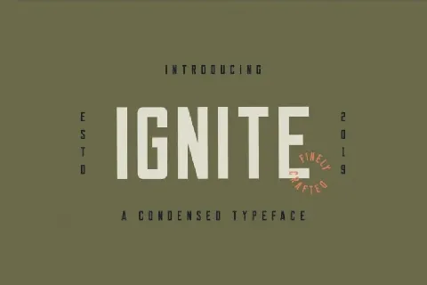 Ignite Sans Serif font