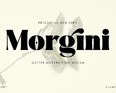 Morgini font