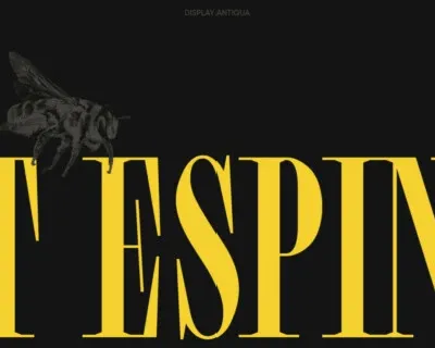 TT Espina font