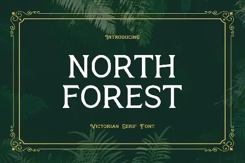 North Forest font