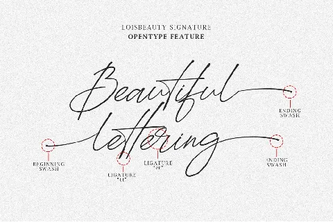 Loisbeauty font