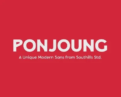 Ponjoung font