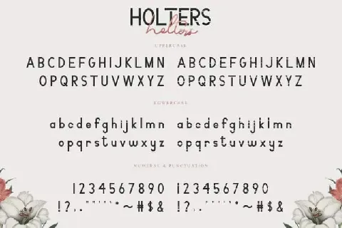 Holters Duo font