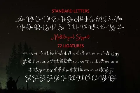 Alleysha Handwritten Script font