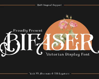 Bifaser font