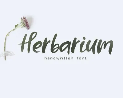 Herbarium Script font