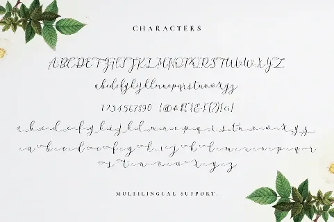 Beatisia font