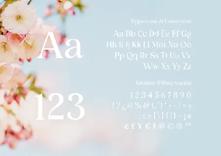 Bunga Zivilia font