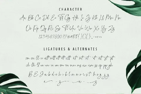 Domestic Script font