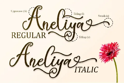 Aneliya - Personal Use font