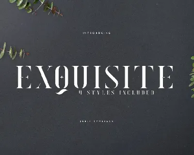 Exquisite font