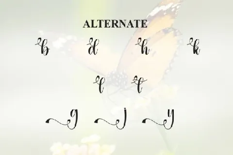 Butterfly Calligraphy Typeface font