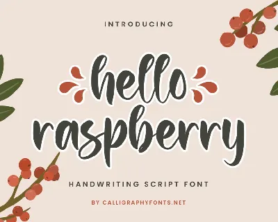 Hello Raspberry Demo font