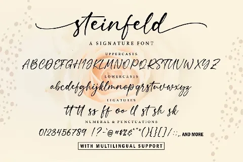 Steinfeld font