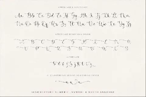 Beatrica Script font