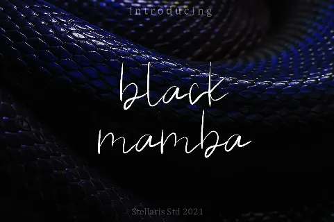 black mamba font