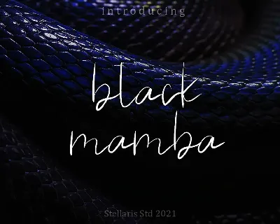 black mamba font