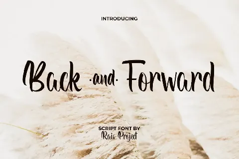 BackAndForward Demo font