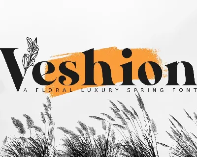 Veshion font