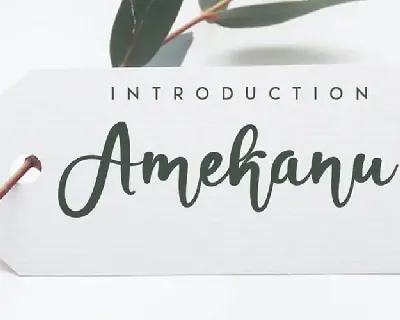 Amekanu Script font