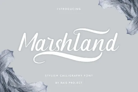 Marshland Demo font