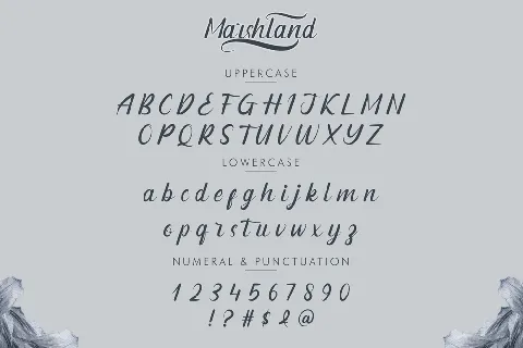 Marshland Demo font