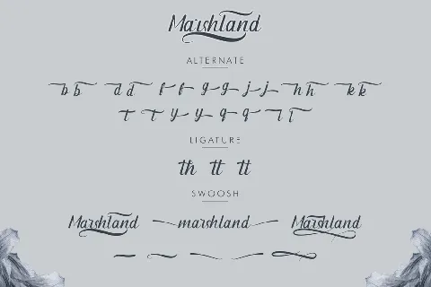 Marshland Demo font