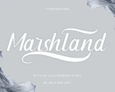 Marshland Demo font