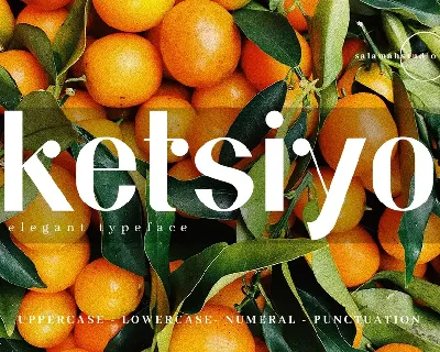Ketsiyo Sans font