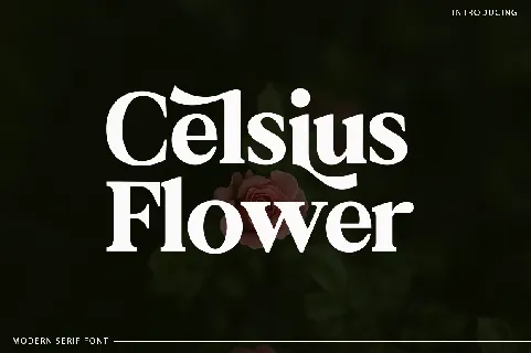 Celsius Flower font