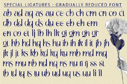 Gradually Reduced Demo font