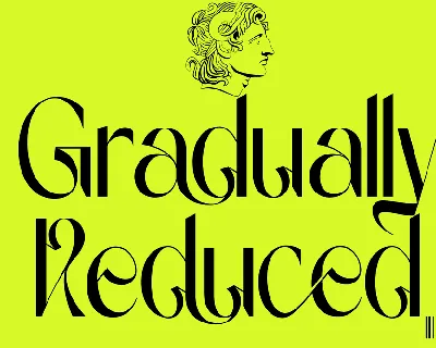 Gradually Reduced Demo font