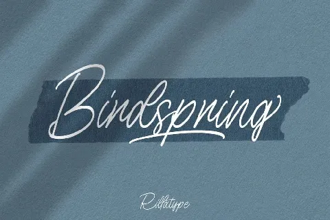 Birdspring font