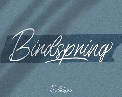 Birdspring font