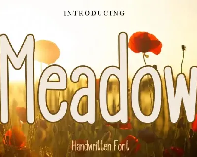 Meadow Display font