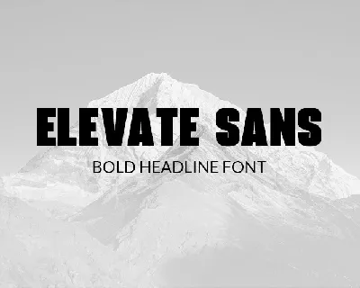 Elevate Sans font