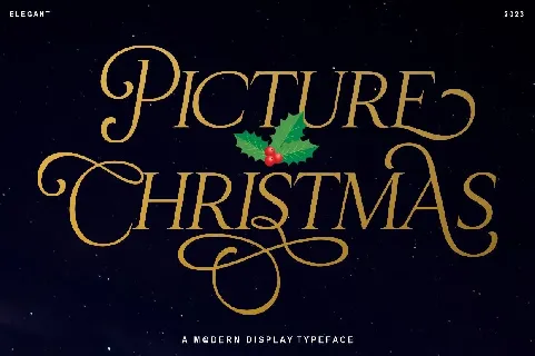Christmas Picture font