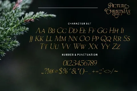Christmas Picture font