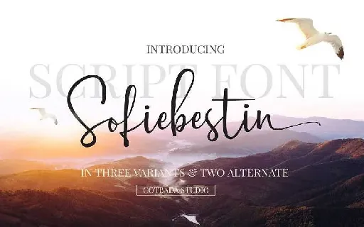 Sofiebestin Script Free Download font