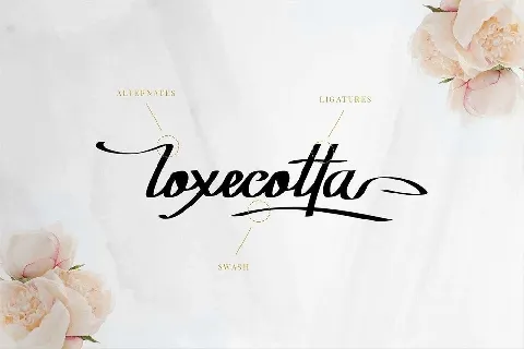 Rockyoletta font