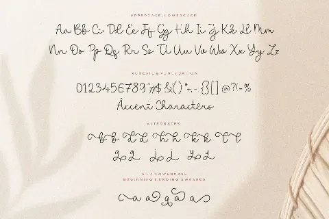 saylora font