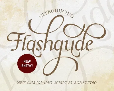 Flashgude font