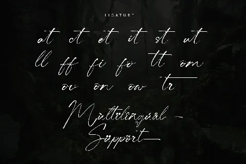 Centralwell - Personal use font