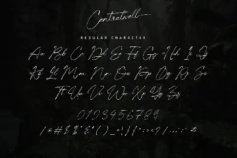 Centralwell - Personal use font