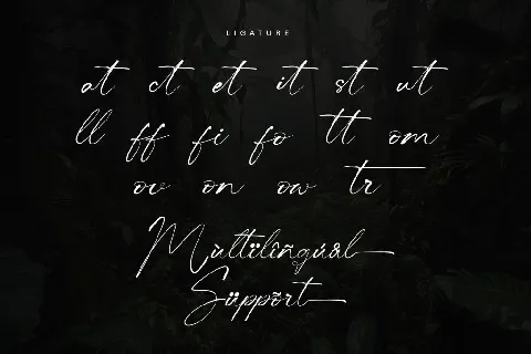 Centralwell - Personal use font