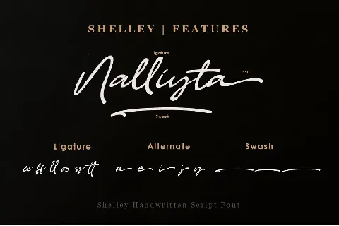 Shelley font