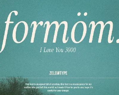 ZT Formom font