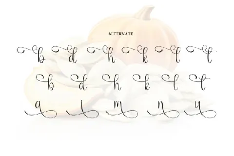 Pumpkinseed Script font