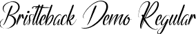 Bristteback Demo Regular font - BristtebackDemoRegular.ttf